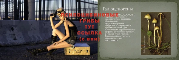 бутират Нязепетровск