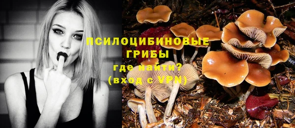 метадон Няндома