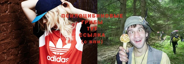 первитин Новодвинск