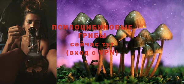 первитин Новодвинск