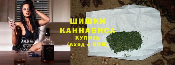 метадон Няндома