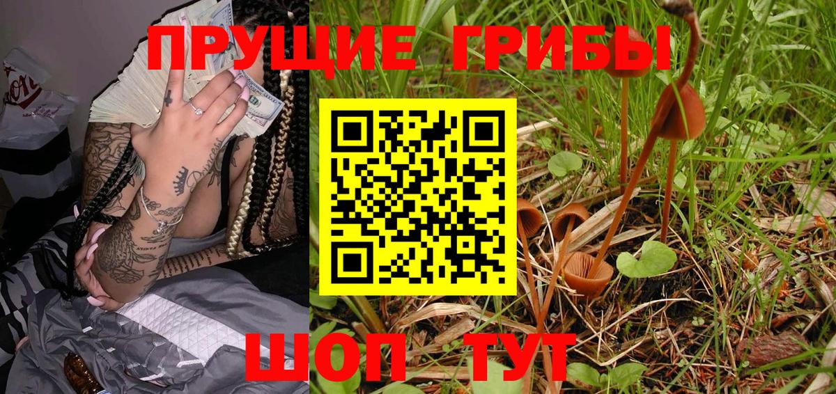 Псилоцибиновые грибы Magic Shrooms  Галлюциногенные грибы Magic Shrooms  Мурино  Вход с VPN 