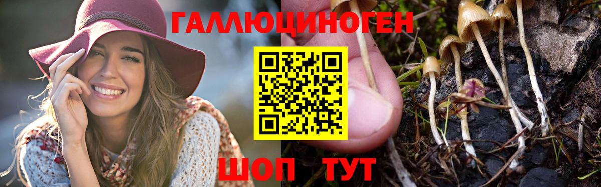 как найти наркотики  Мурино  Галлюциногенные грибы ЛСД 
