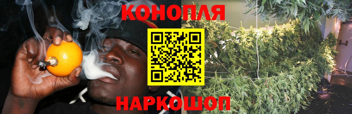 Канабис THC 21%  Конопля семена  Конопля Amnesia  Мурино  МАРИХУАНА Bruce Banner 